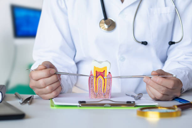 Best Weekend Emergency Dental Services in Lawrence, KS